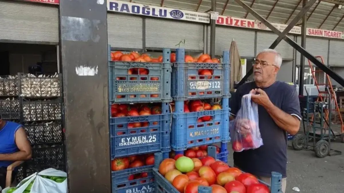 Kışın 70 Liraydı, şimdi 15 Liraya çakıldı: Domatesteki düşüşün arkasındaki acı gerçek ne?