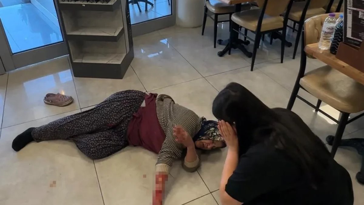 Sandalye ve tekmeler bile durduramadı: Dinlenme tesisinde kan donduran başıboş köpek dehşeti!