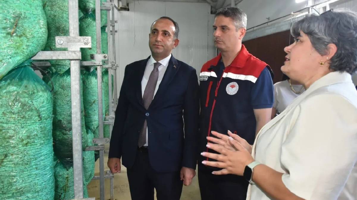 Kadın girişimciler topraksız üretim yapacak! Dar alanlarda maksimum verim bekleniyor