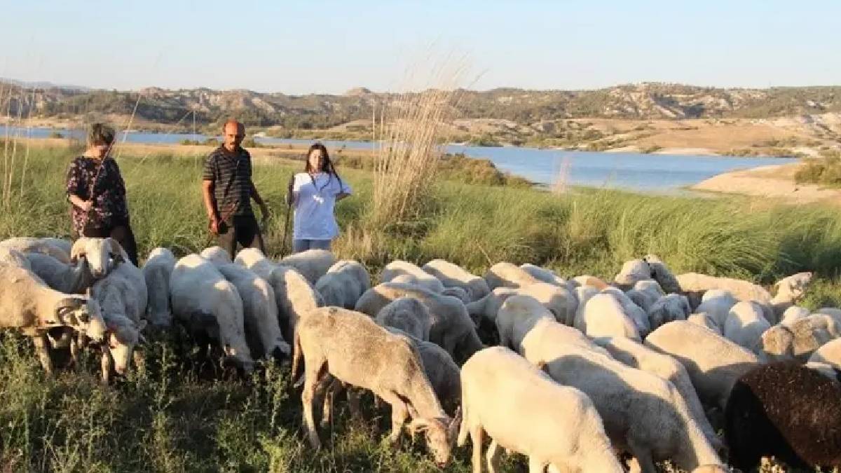 Hem çobanlık yaptı hem 2 dil birden öğrendi! Üniversiteyi birincilikle bitirip başarısına başarı kattı