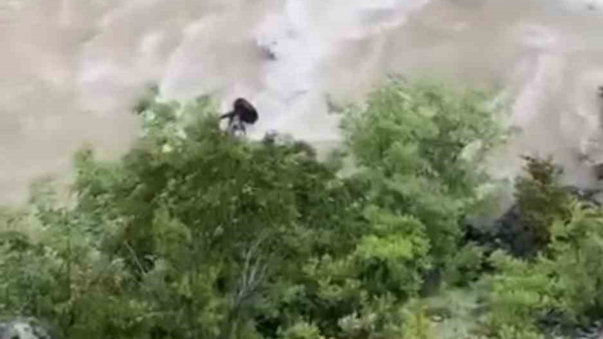 Artvin'de otomobil Çoruh Nehri'ne uçtu: Baba ve oğul kayıp