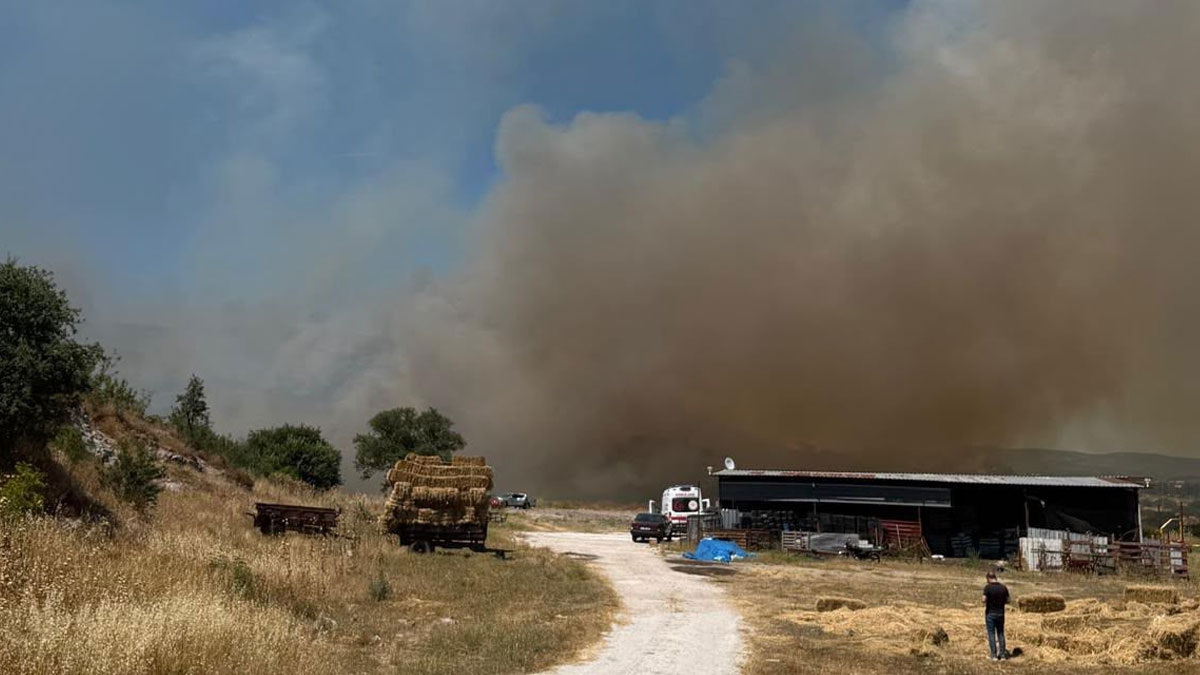 Çanakkale’de ormanlık alanda yangın