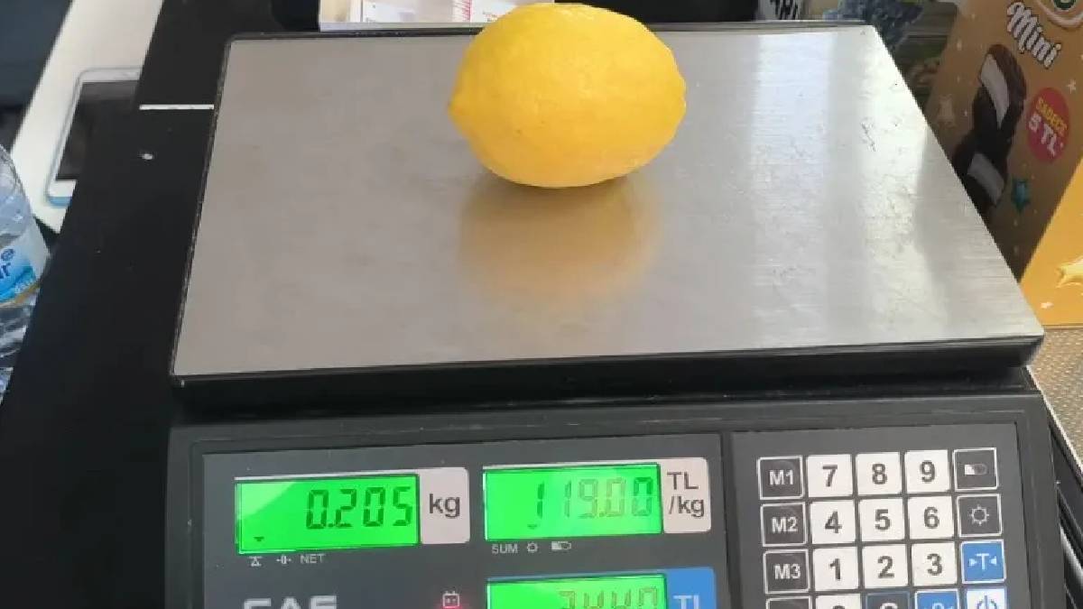 İhracat artarken fiyatlar yükseldi: Limonun tanesi 24 lira