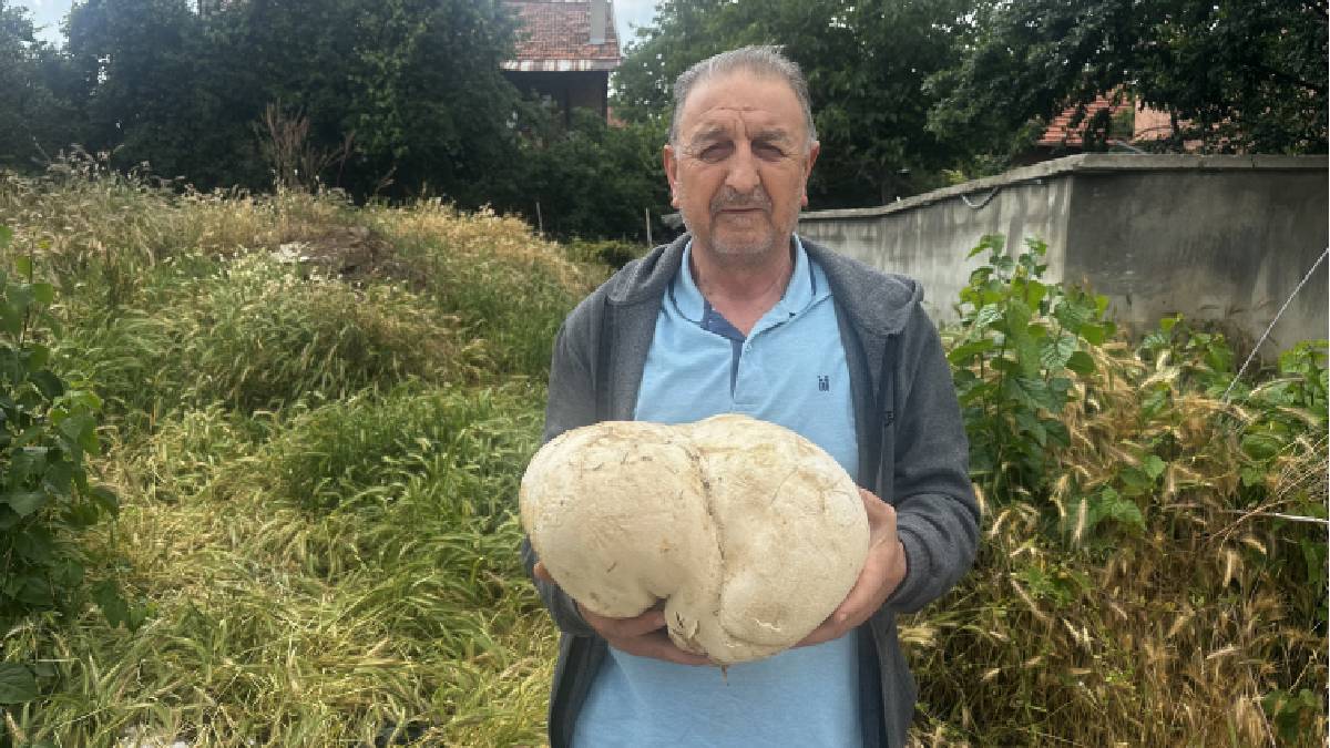 Ispartalı çiftçi bahçesinde devasa mantar buldu! Tam 3 kilo 470 gram