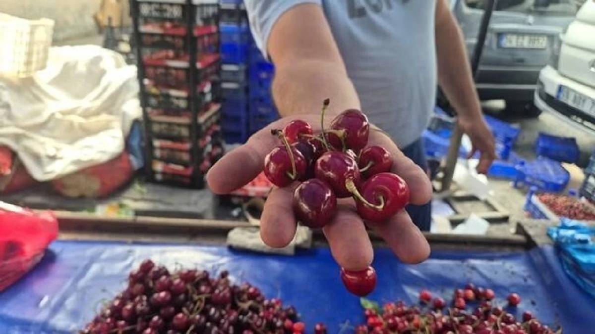 Fiyatı 300’den 70 TL’ye düştü! Vatandaş pazar tezgahına akın etti