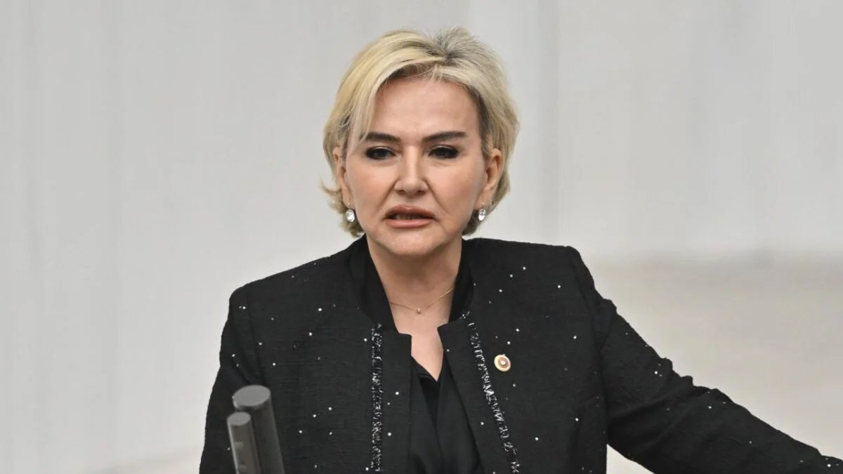 CHP'den istifa eden Nimet Özdemir kimdir, aslen nereli, mesleği ne?