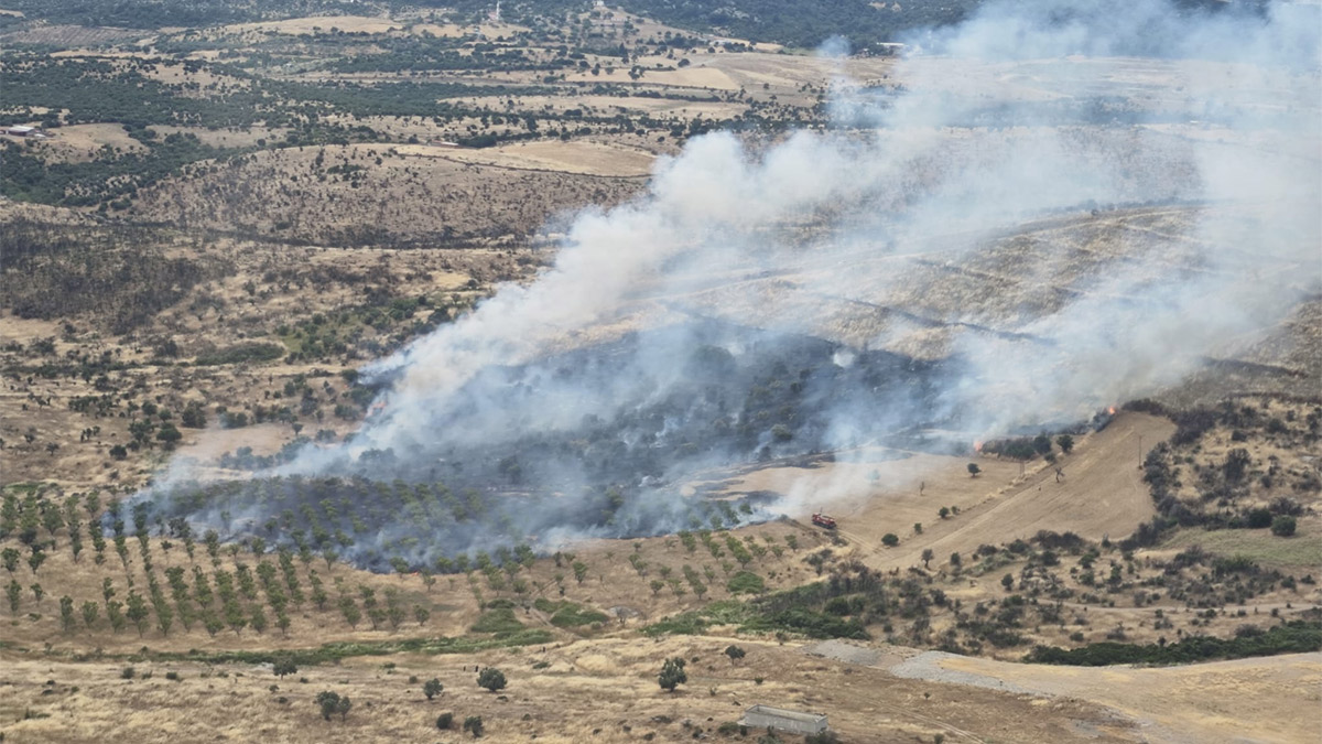 Çanakkale'de orman yangını! Müdahale sürüyor