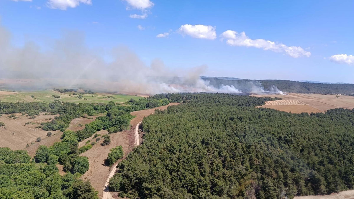 Çanakkale'de korkutan yangın: Rüzgar alevleri büyüttü