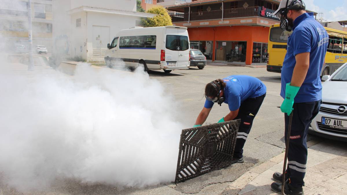 Vektörle mücadele 19 ilçede yoğun bir şekilde sürdürülüyor