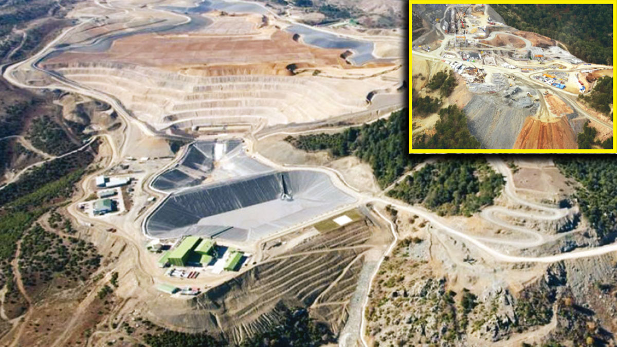 Kanadalı gitti Türk şirket geldi: Milli ormana yerli balta