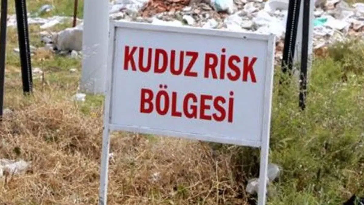 Van'da kuduz alarmı: Bir ilçe karantinaya alındı