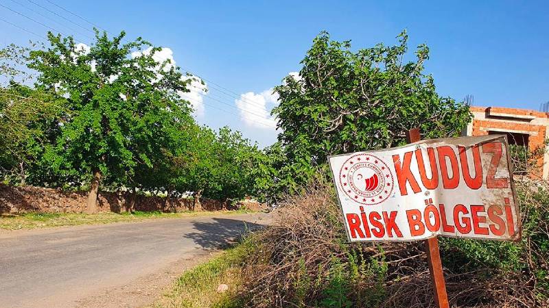 Edremit’te kuduz alarmı: 7 mahallede karantina