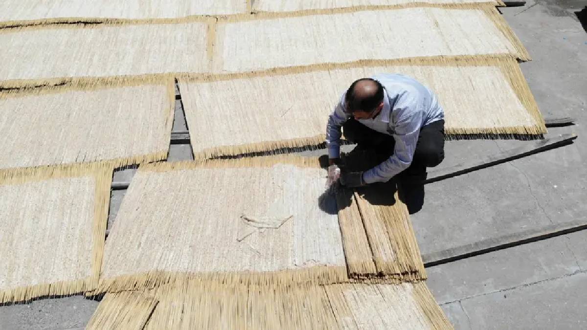 Asla kurtlanmayan üründe üretim sezonu geldi! Sırrı Osmanlı ordusundan geliyor