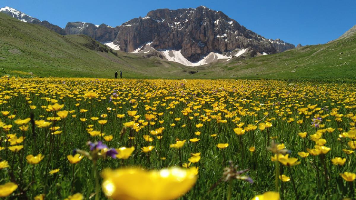 3300 rakımın saklı cenneti! Sadece yerli değil yabancı turistler de Munzur’a gidiyor