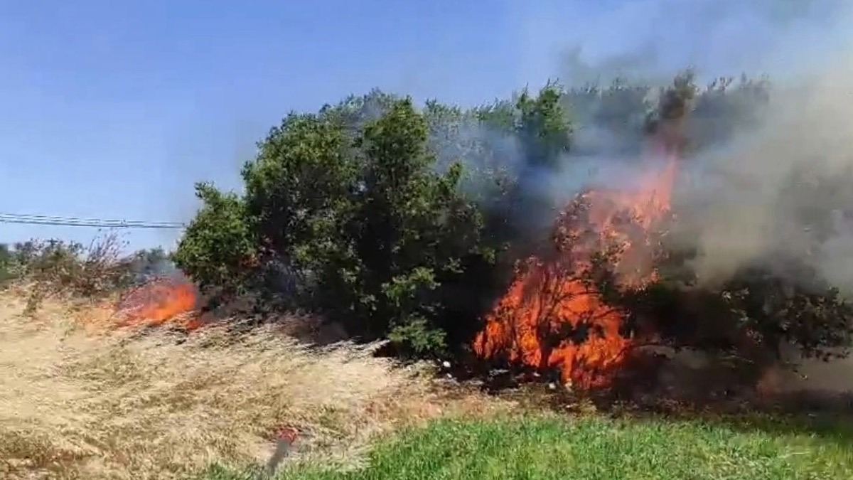 Çanakkale tarım arazisinde yangın: Havadan ve karadan müdahale sürüyor