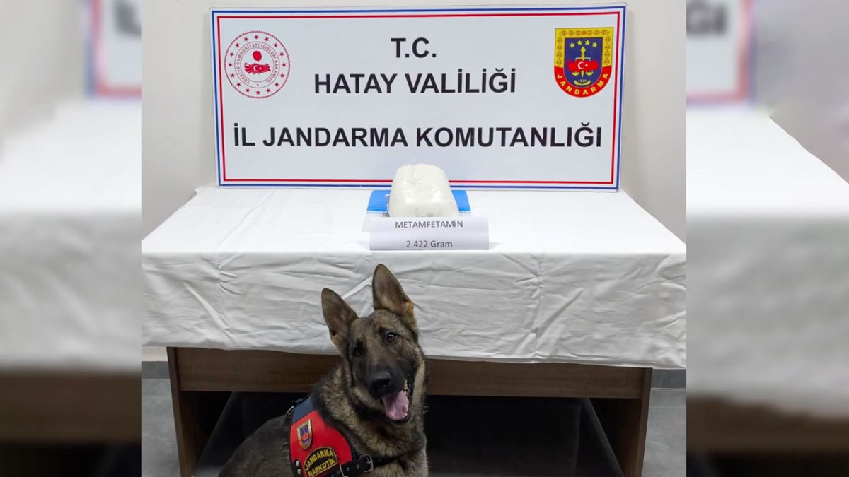 24 ilde uyuşturucu operasyonu: 412 kilo uyuşturucu ve 367 bin 431 hap ele geçirildi
