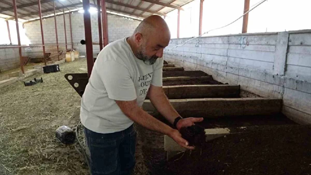 Hem kendi kullanıyor hem satıyor! Tonlarca üretimi ek kazancı oluyor