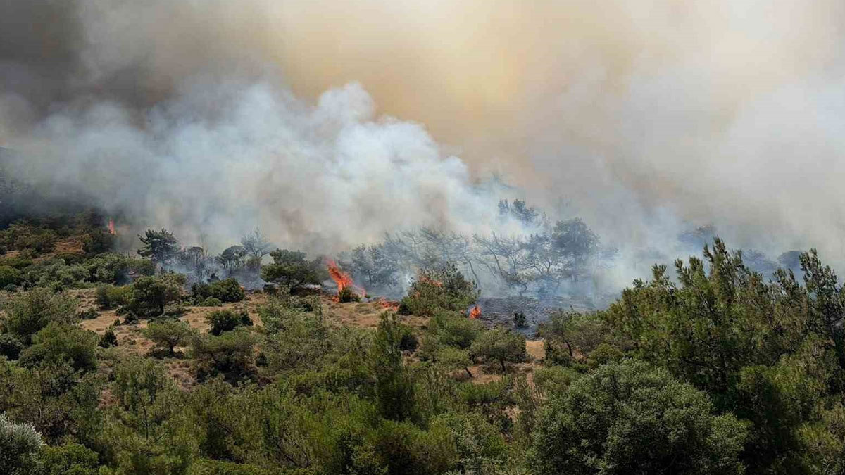 İzmir’de makilik alanda yangın