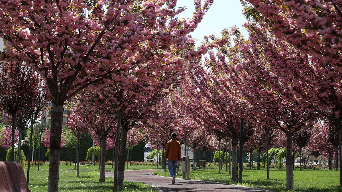 Japonya sanılan büyüleyici yer Konya çıktı
