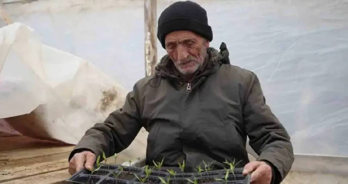 Gözü gibi koruyor, gelecek nesiller için çalışıyor: Bayburt’un 76’lık dedesi yetiştirip ücretsiz dağıtıyor