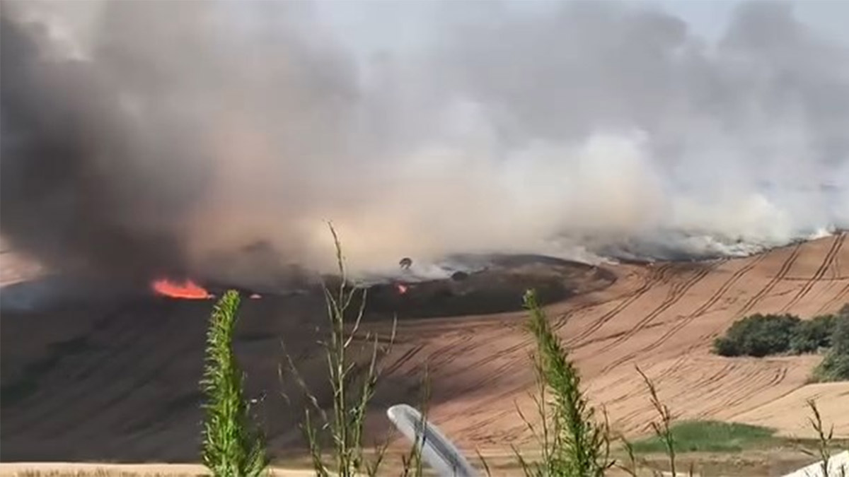 Büyükçekmece'de buğday tarlasında yangın! Müdahale sürüyor