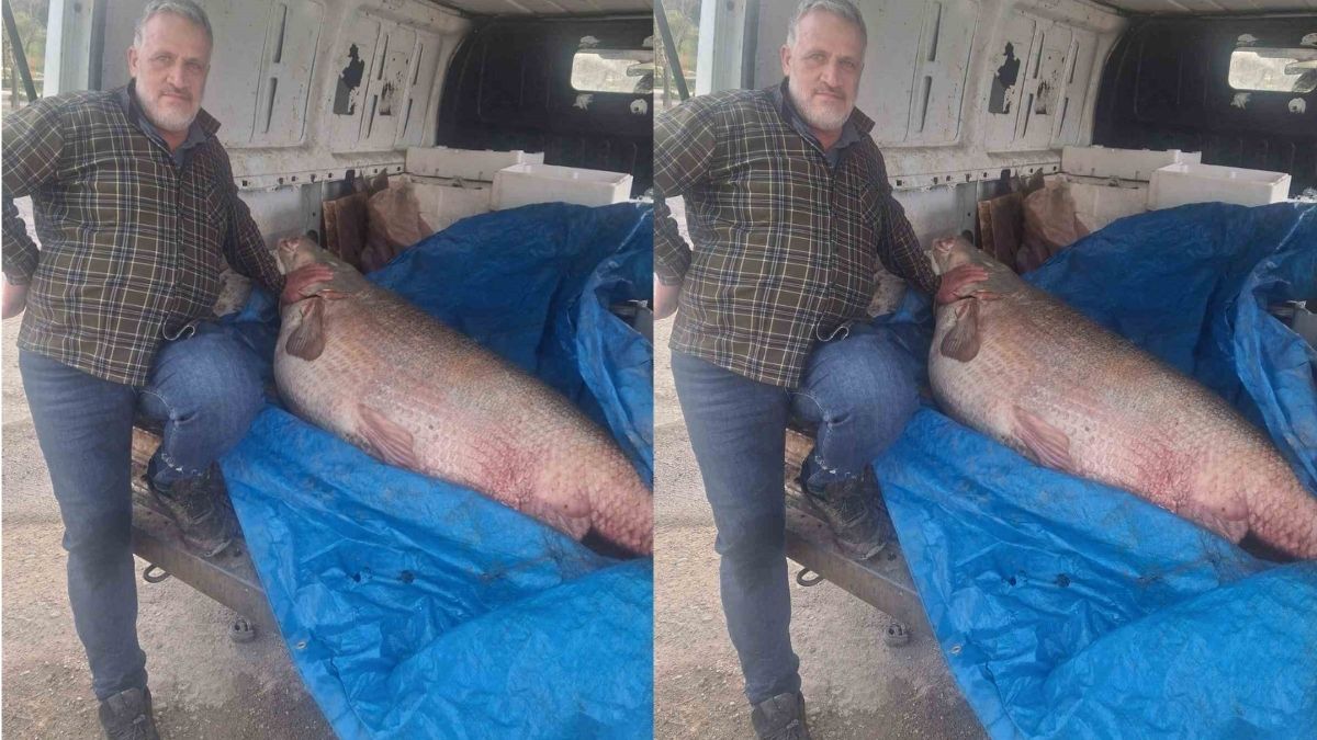 Av yasağı bittiği gün tuttuğu balıkla şok yaşadı! Tam 130 kg