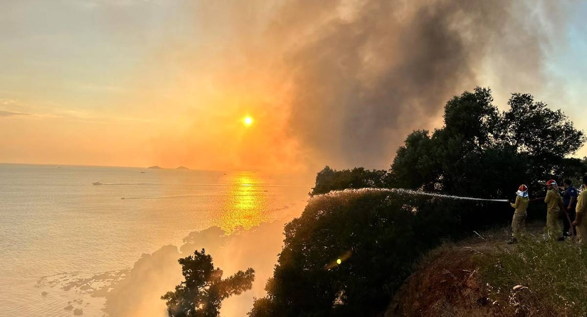 Büyükada'daki plajda yangın: Ormanlık alana sıçradı