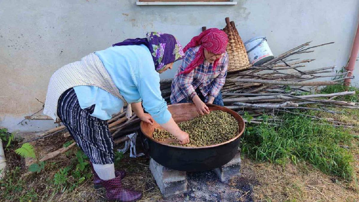 Giresun’da üretiliyor, 1 günlük emekten 4 kg ürün alıyorlar: ‘Tek başına yapmak mümkün değil’
