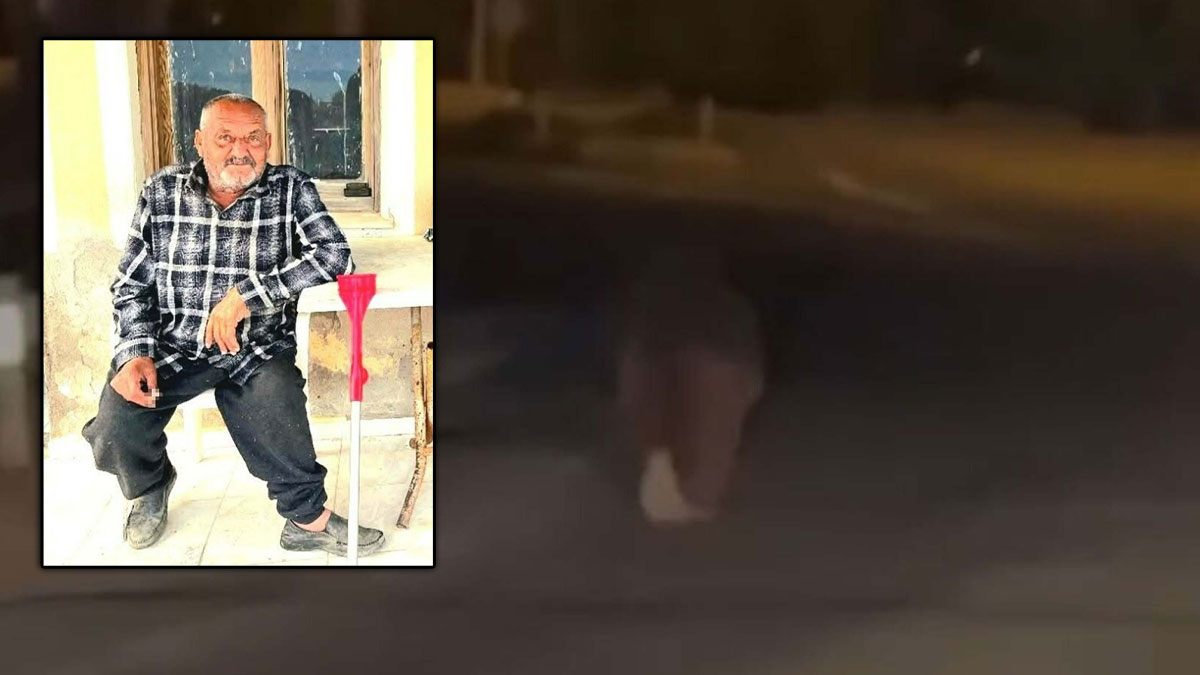 Evinin önünde uyurken ayı saldırdı: Yaşlı adam hayatını kaybetti