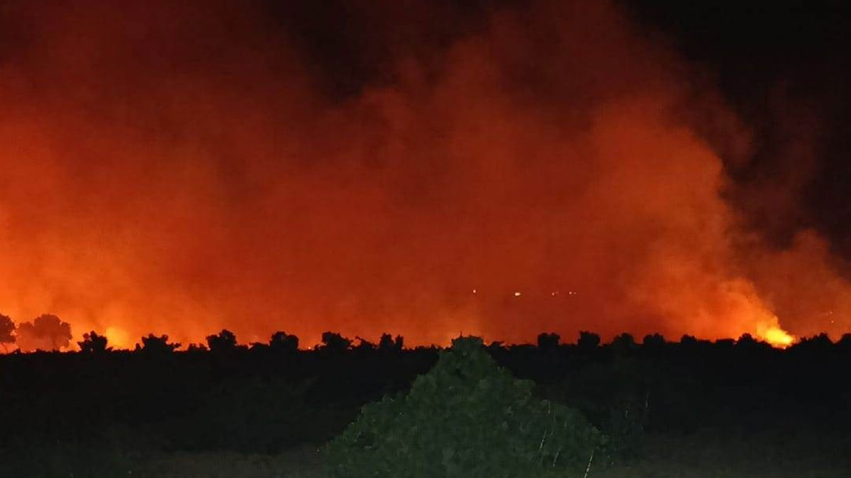 Gaziantep'te anız yangını 400 dönüm araziyi küle çevirdi