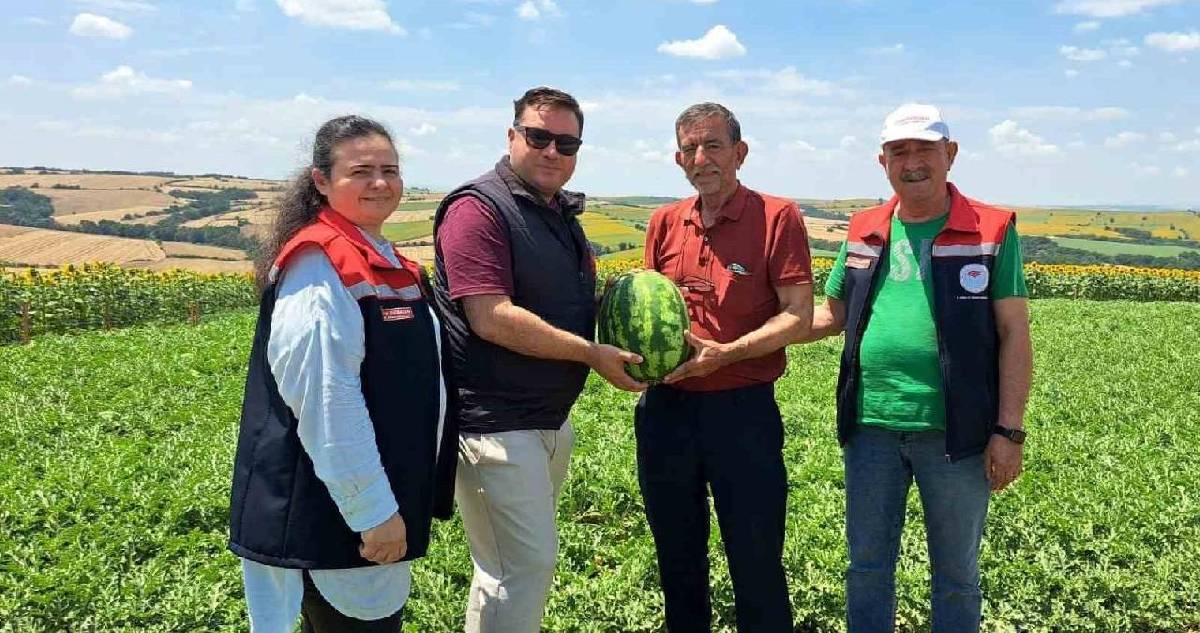 Tekirdağ’ın ilk hasatları yapıldı: Karpuzlar tüketicilerle buluşacak