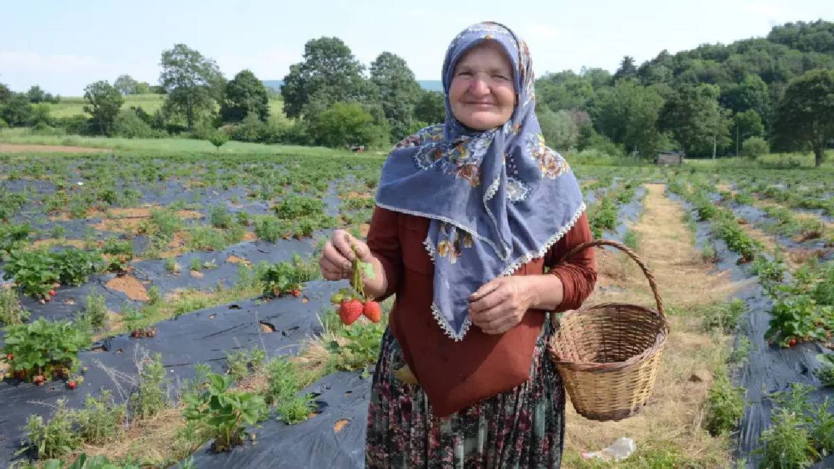 2 dönümde hobi olarak başladı 42 dönümde işi oldu! Şehir dışından bile bahçesine geliyorlar