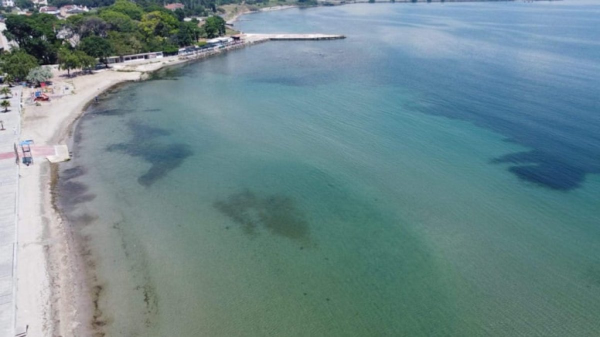 Marmara Denizi'nde denize girmek tehlikeli mi? Müsilaj kabusu ve zehirli istilacı türler geri mi dönüyor?