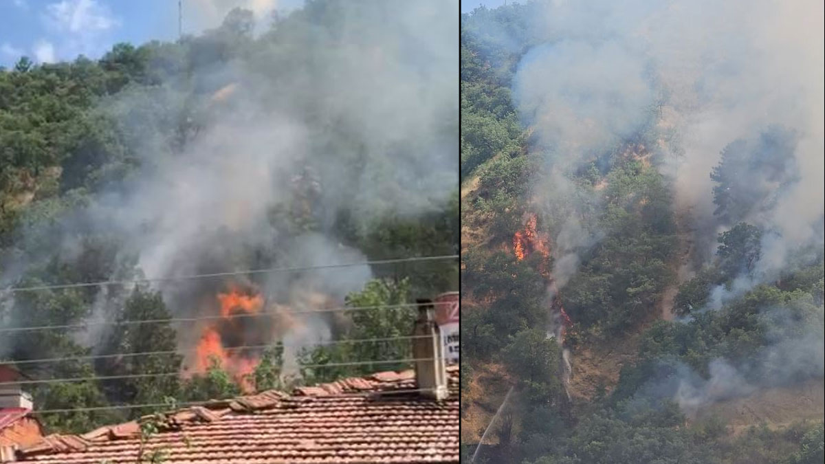 Kastamonu'da orman yangını