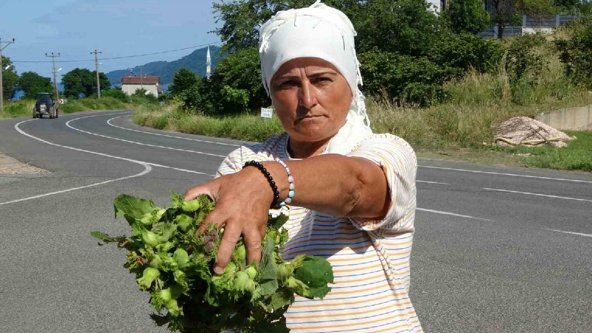 Yol kenarında tazecik satılıyor, turistler havada kapıyor: Kilosu 200 TL