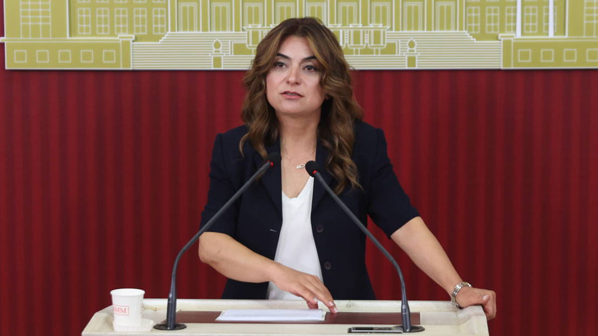 DEM Parti'den 'çerçeve yasa' açıklaması: Taslağın İmralı heyetine iletilmesini bekliyoruz