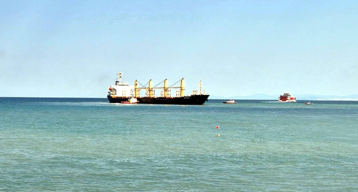 Tekirdağ açıklarında kuru yük gemisi karaya oturdu