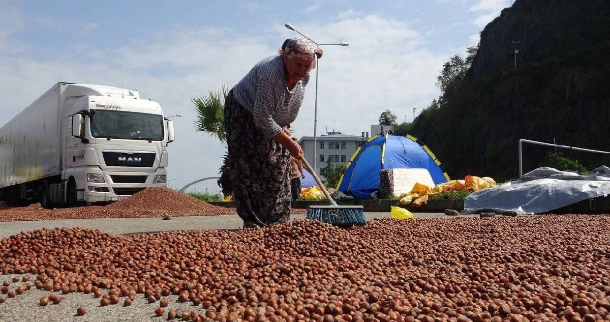 Fiyatları düştükçe düştü: 202 TL’den işlem görüyor, gözler yeni alım fiyatlarına çevrildi