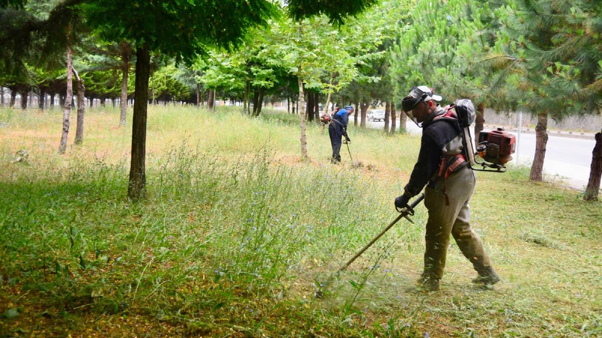 Giresun’da yeşil alanlarda bakım ve temizlik çalışmaları sürüyor