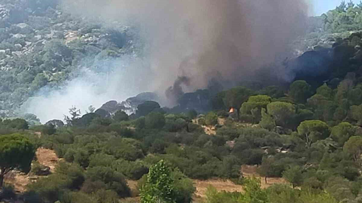 Muğla’da ormanlık alanda yangın