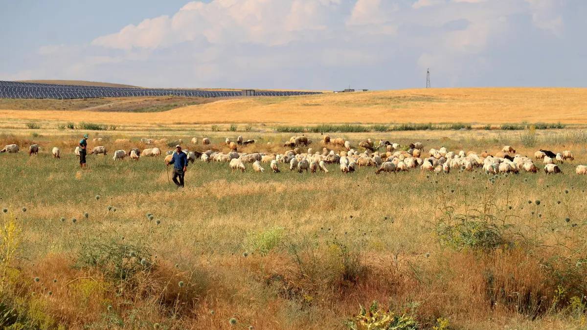 5 çocuk annesi girişimciden gururlandıran yükseliş! 40 taneyle başladı sayılarını 400’e çıkardı