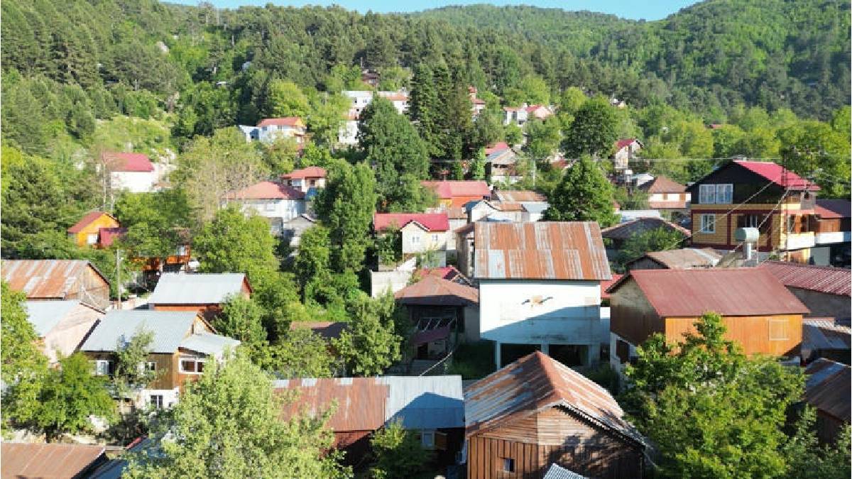 Oksijeni bol, havası çok güzel! 1.650 metrelik Zorkun Yaylası sezonun gözdesi