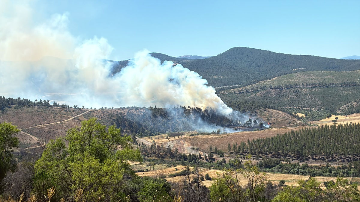 Bursa’da başlayan yangın Balıkesir sınırına ulaştı