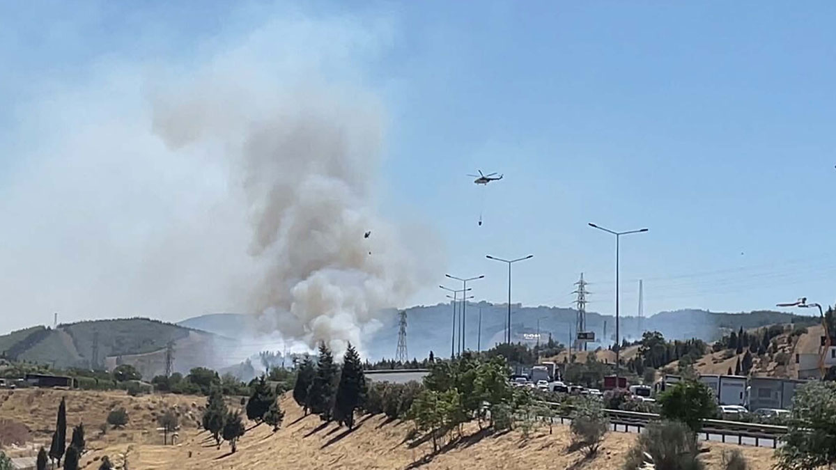 İzmir'de otluk alanda çıkan yangın ormana sıçradı