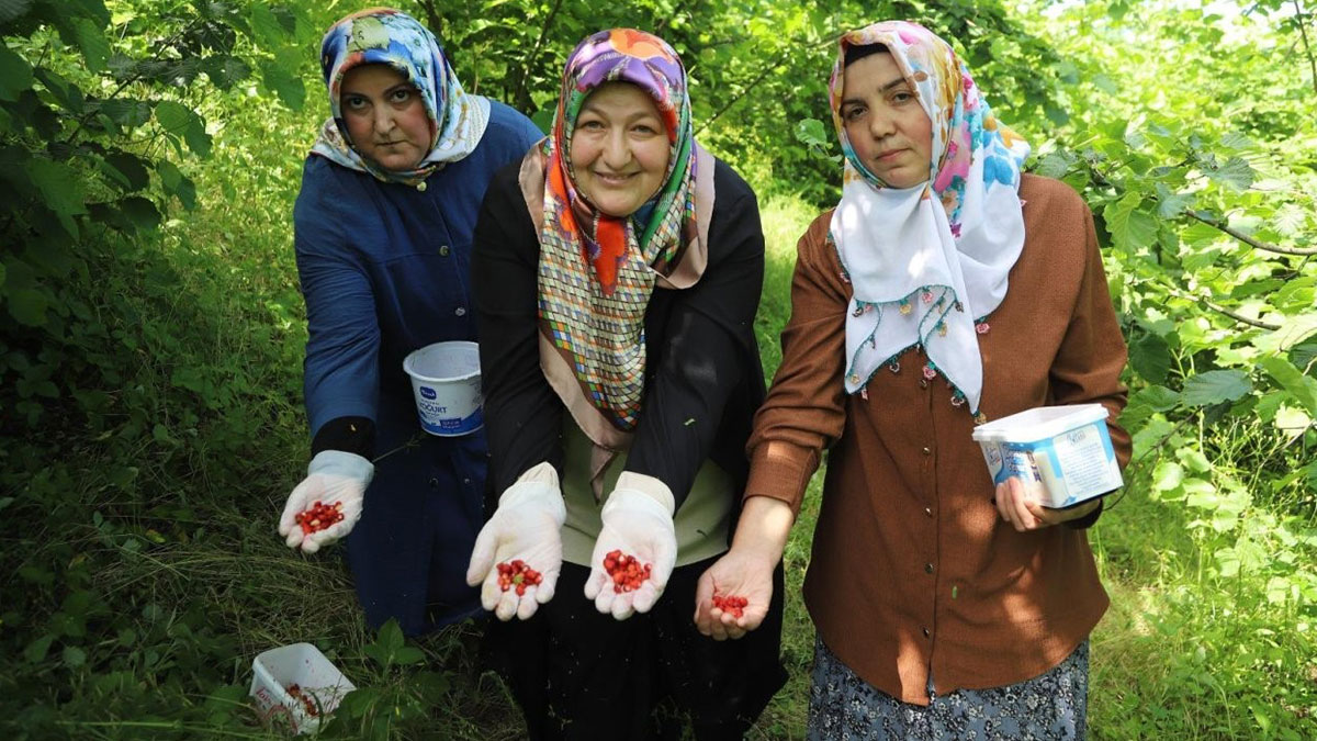 Kadınların gizli hazinesi gün yüzüne çıktı: Karadeniz'in lezzeti artık tescilli
