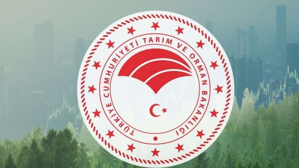 Hayalini kuranlar ekran başına: Kamuda binlerce kişiyi ilgilendiren dev kadro ilanı nihayet geldi!