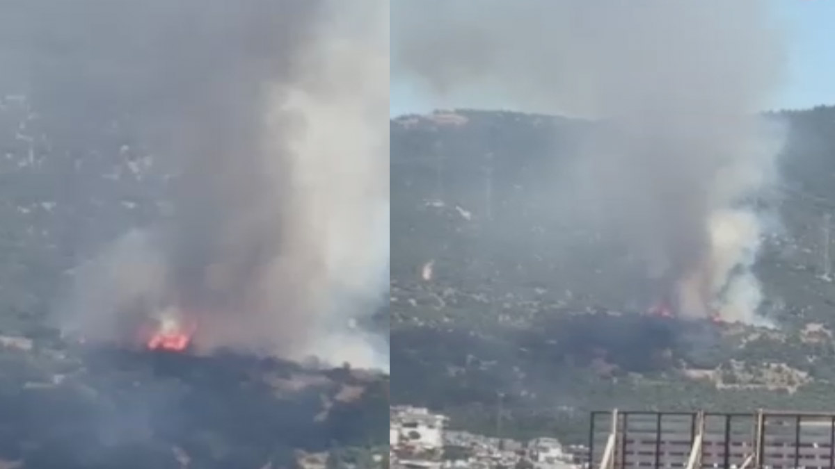 İzmir'de orman yangını! Çok sayıda ekip sevk edildi
