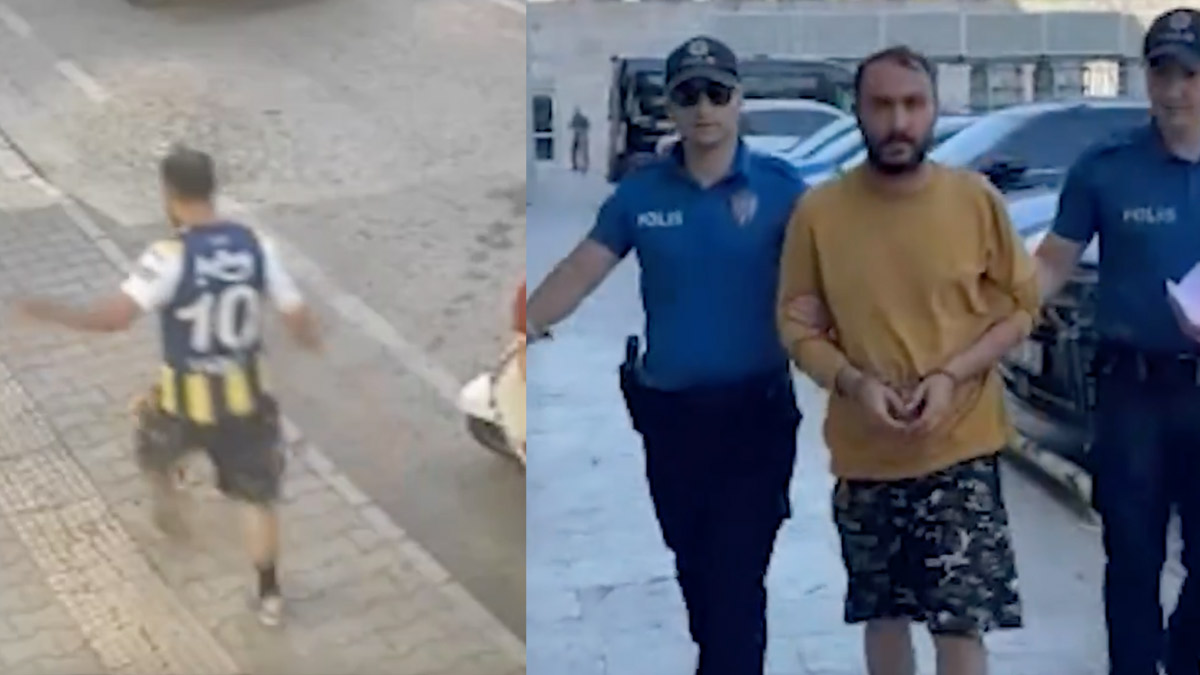 Samsun’da sokak kedisine tekme atan şüpheli tutuklandı