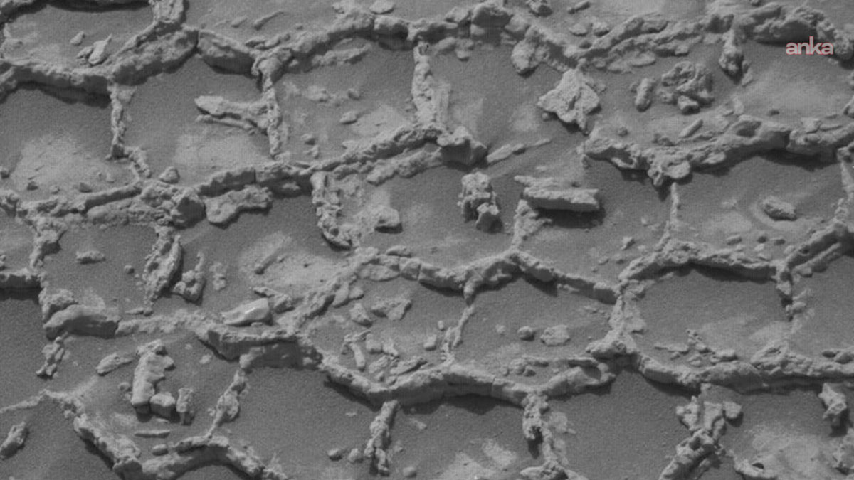 Mars'ta bal peteğini andıran gizemli yapılar görüntülendi