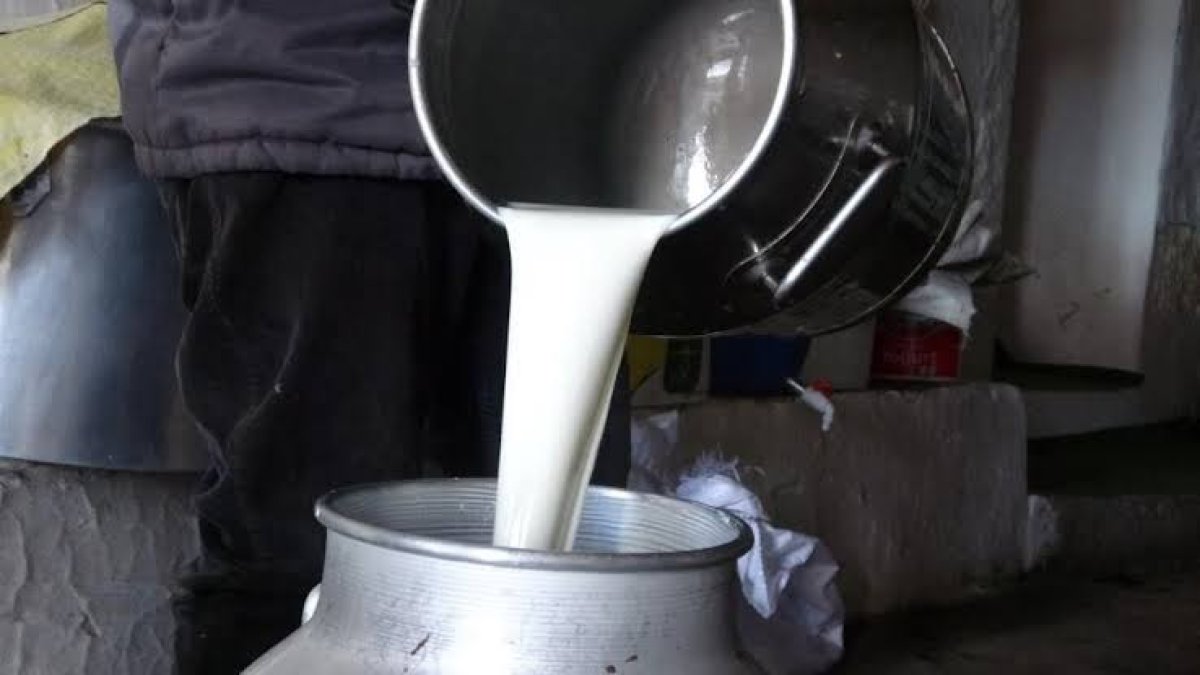 Ulusal Süt Konseyi çiğ süt tavsiye fiyatını sabit tuttu